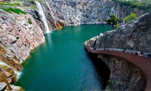 上海辰山植物園獲究院綜合設計類專業(yè)組榮譽獎