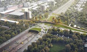 荷蘭阿姆斯特丹郊外的小鎮(zhèn)的“樹(shù)木之橋”，生機(jī)就在腳下